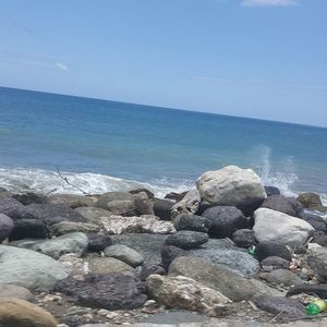 Meet your Posher, Gayle