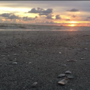 Meet your Posher, Gianna