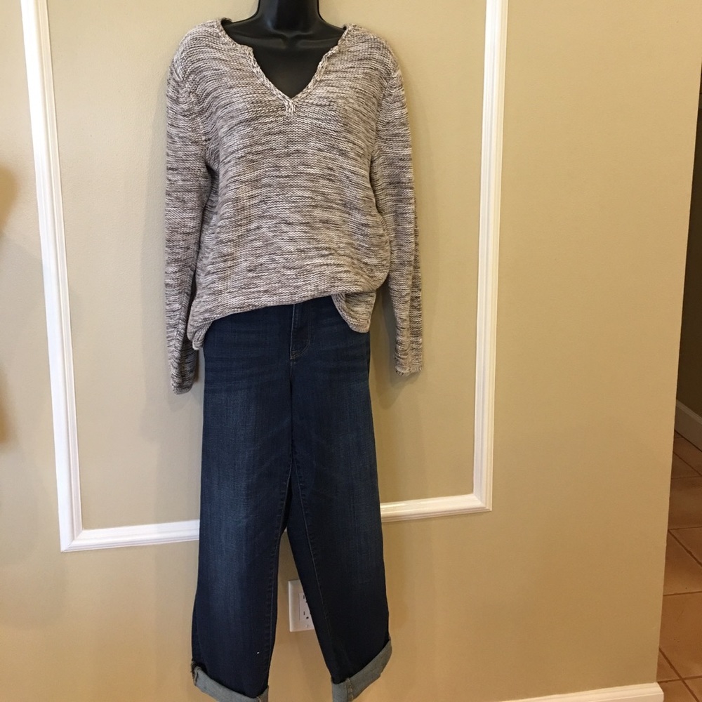 Talbots Boyfriend Flawless Five Pocket Jeans