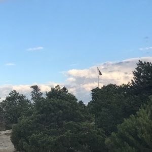 Meet your Posher, Naomi