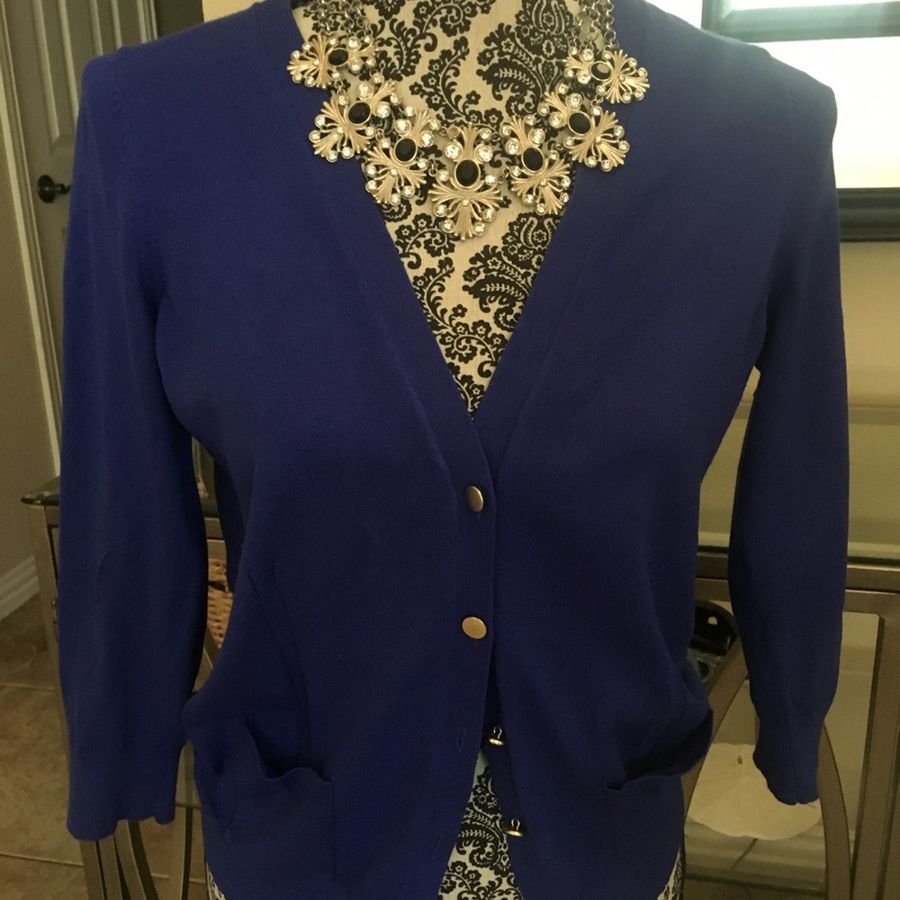 Ann Taylor Blue Button Down Sweater