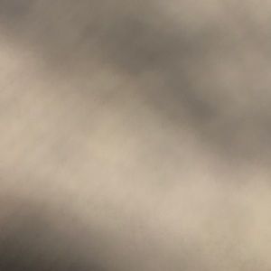 Meet your Posher, Jackson