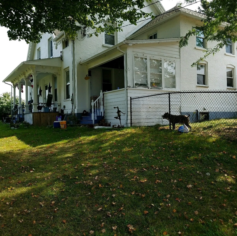 Meet your Posher, Shirley