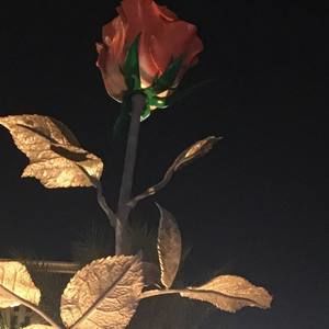 Meet your Posher, Graciela