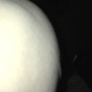 Meet your Posher, Dillon