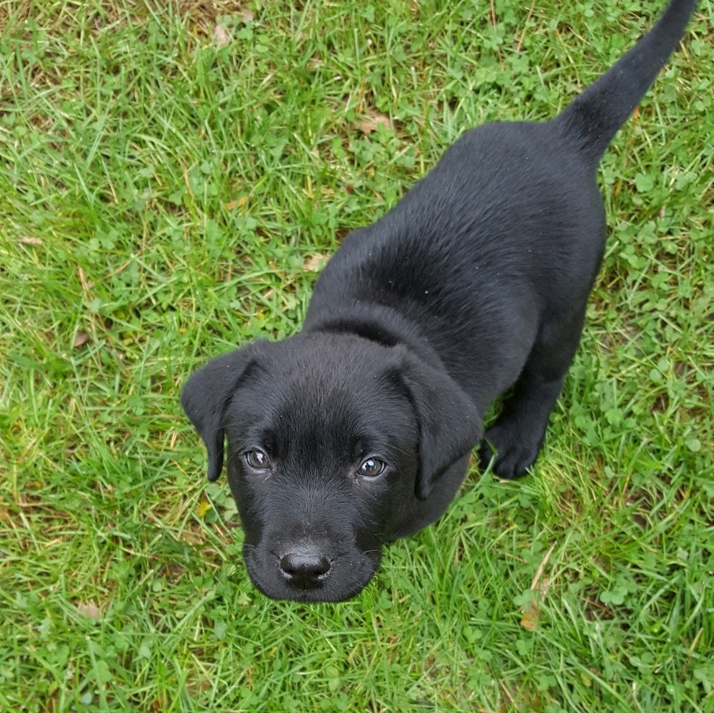 Meet your Posher, Erin