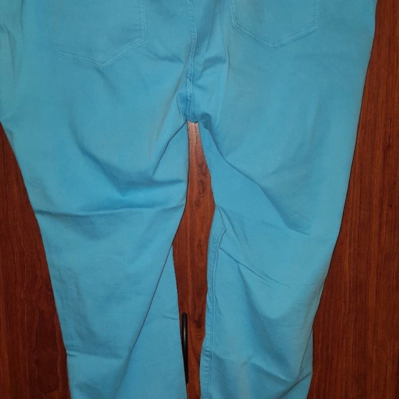 STYLUS Plus SIZE 24W Aqua Pants - Picture 3 of 6