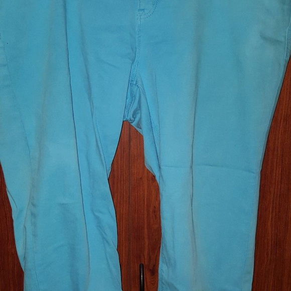 STYLUS Plus SIZE 24W Aqua Pants - Picture 6 of 6