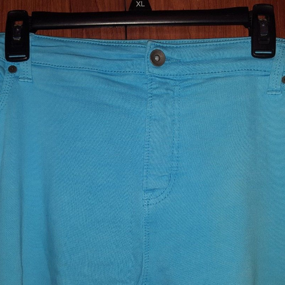 STYLUS Plus SIZE 24W Aqua Pants - Picture 2 of 6