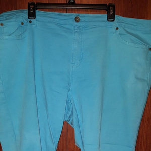 STYLUS Plus SIZE 24W Aqua Pants