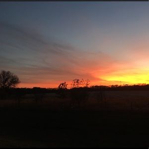 Meet your Posher, Jayme