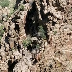 Meet your Posher, Cassandra