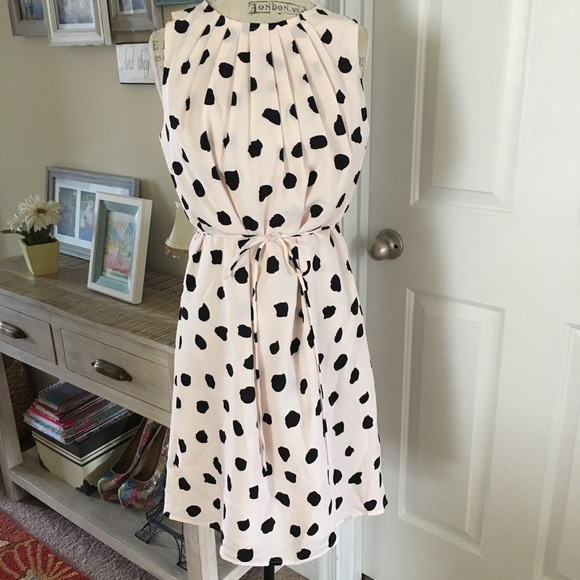 LOFT Dresses & Skirts - Ann Taylor Loft Printed Dress with Tie 8