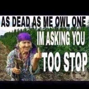 Meet your Posher, Tom