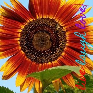 Meet your Posher, Tami