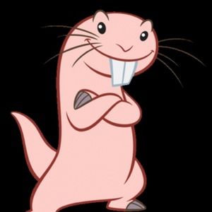 Meet your Posher, Isaa