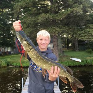 Meet your Posher, Collin