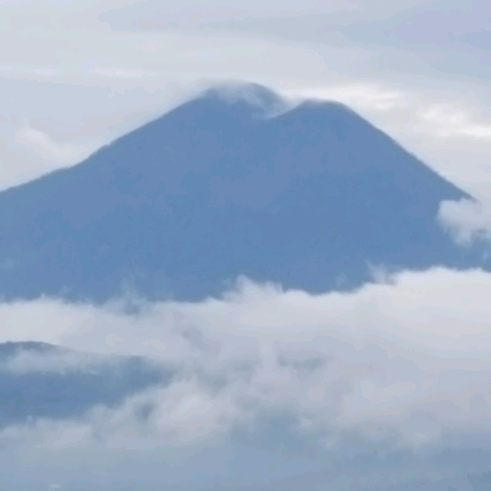 Meet your Posher, Mike