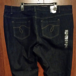 Avenue Denim Plus Size 24 Petite NWT