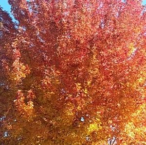 Meet your Posher, Blake