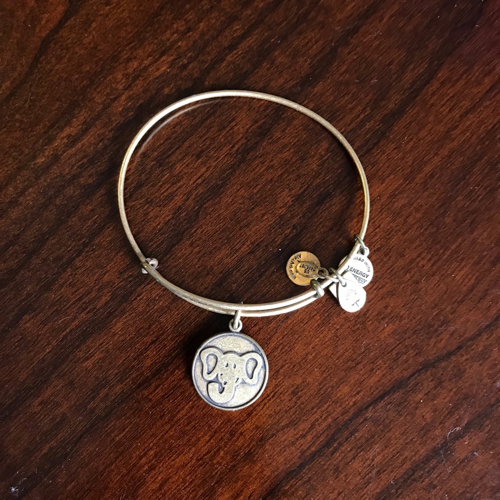 Alex and Ani Elephant Charm Bracelet