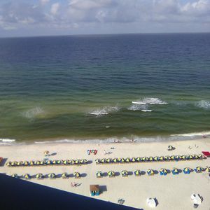 Meet your Posher, Ty