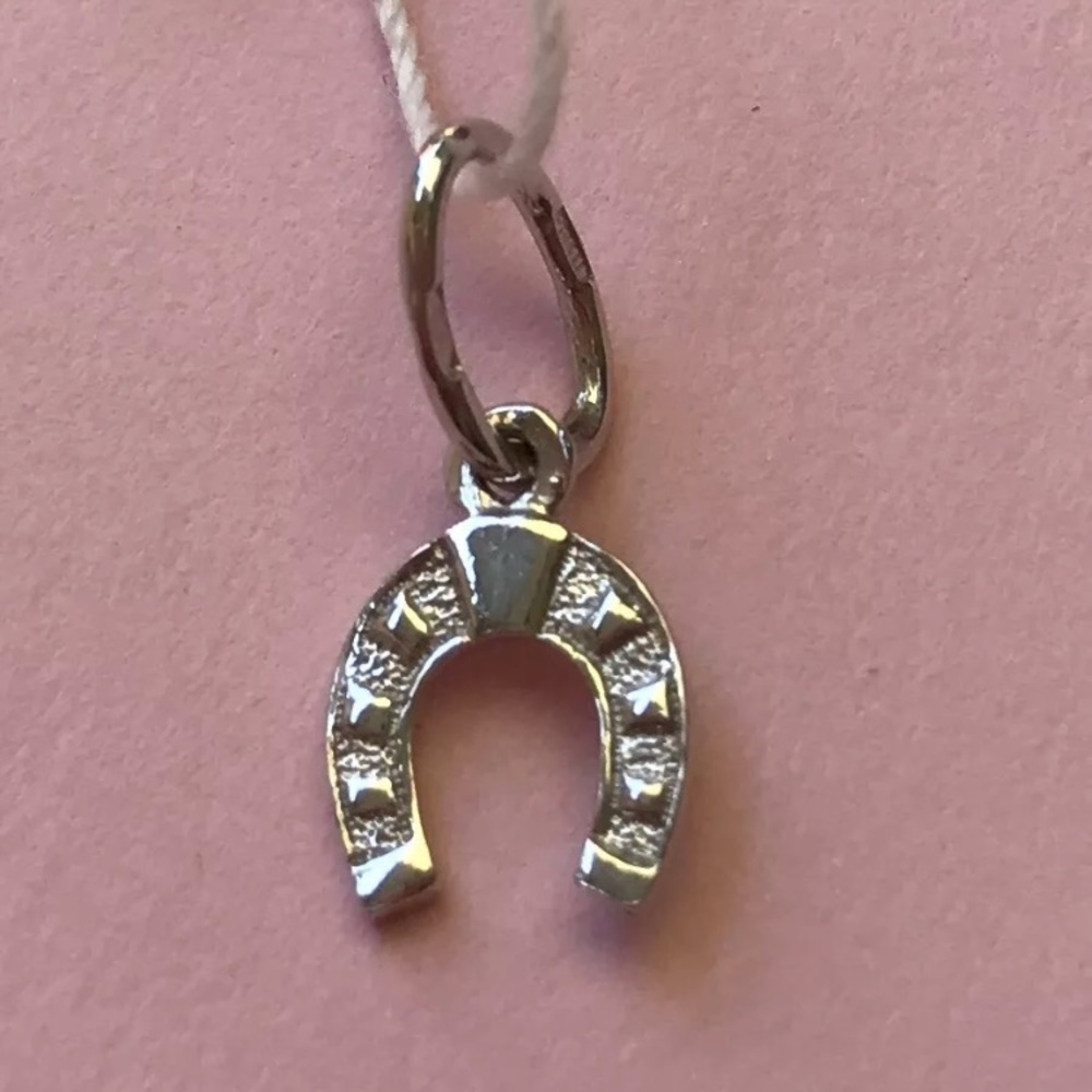 Sterling silver good luck pedant 0.39g NWT