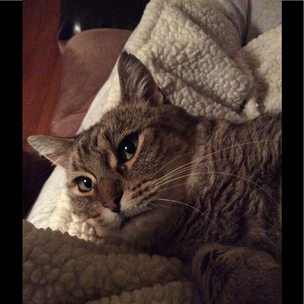 Meet your Posher, Linda