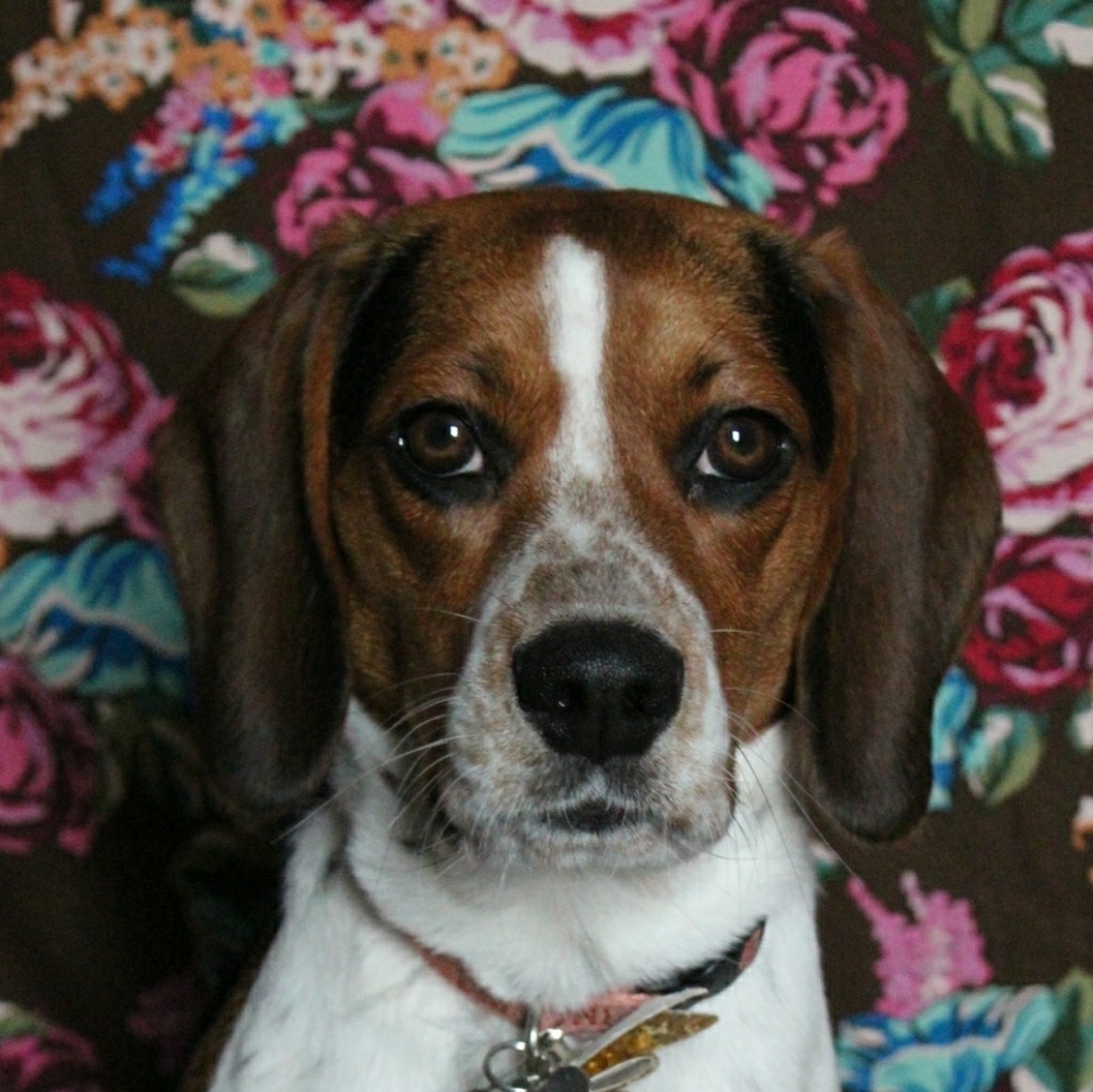 NFS - Look at my Sadie Bean! 💖