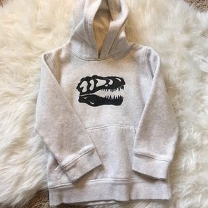 Toddler boy hooded sweater