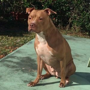 Meet your Posher, Key