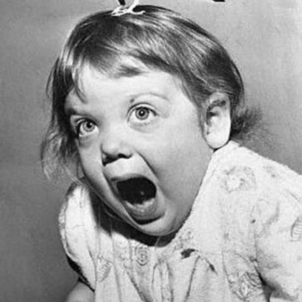 Meet your Posher, Lindsay