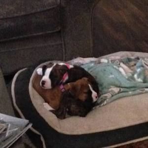 Meet your Posher, Vicki