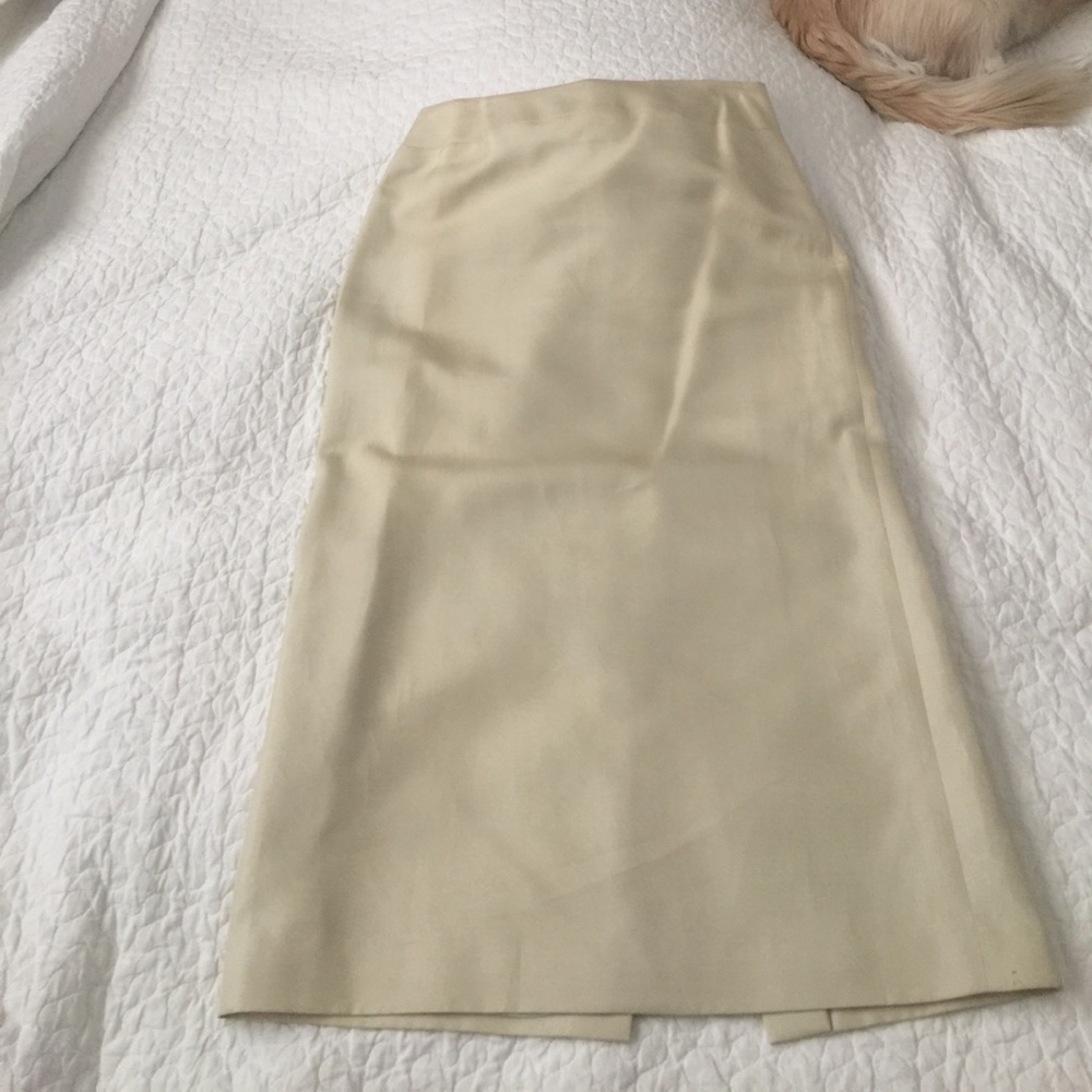 Ann Taylor Skirt size 2
