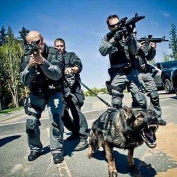 Meet your Posher, Michelene - Picture 1 of 1