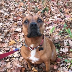 Meet your Posher, Juliana