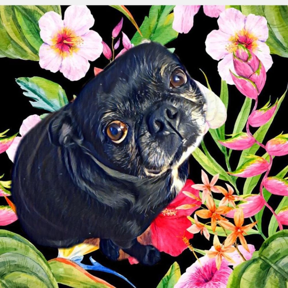 Meet your Posher, Lyn