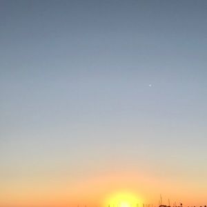 Meet your Posher, Claudia