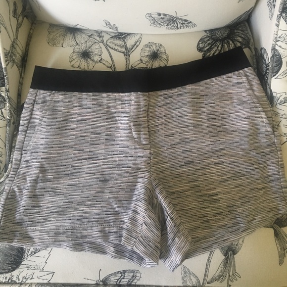 NWT Loft Shorts - Picture 2 of 3