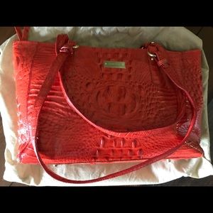 EUC Brahmin Medium Asher