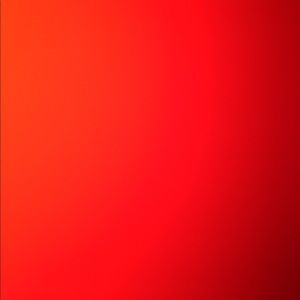 Meet your Posher, Riley