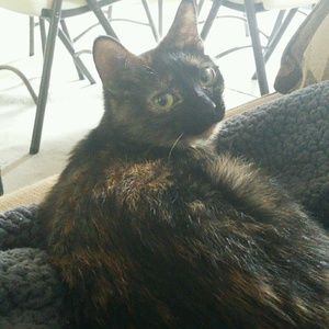 Meet your Posher, Tracy