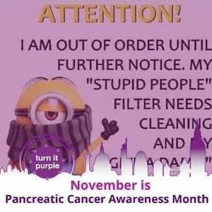 Meet your Posher, Terri