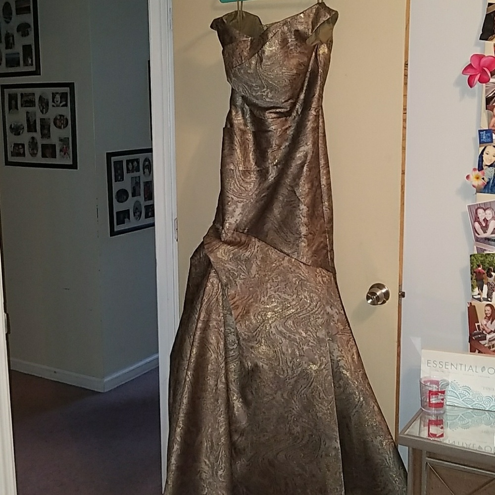 Terani Formal Dress size 8