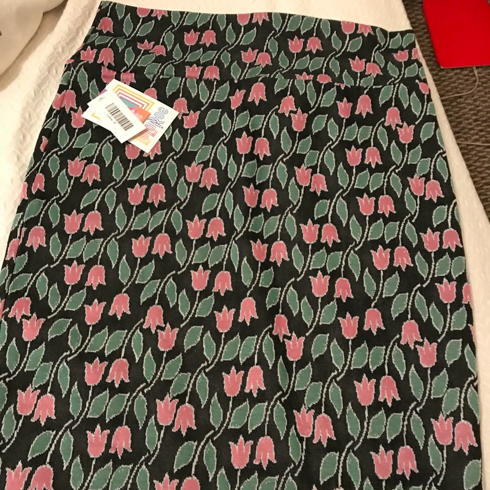 NWT Lularoe Cassie skirt