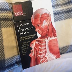 Nursing Anatomy and Physiology flash cards