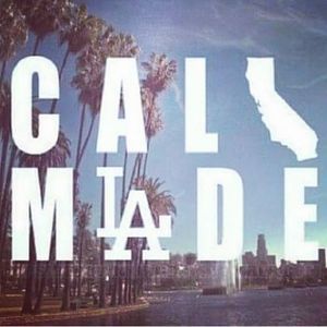 Meet your Posher, Ginger