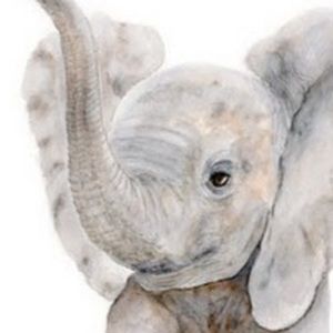 Meet your Posher, Carly