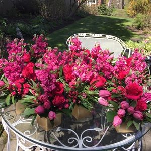 Meet your Posher, Elizabeth