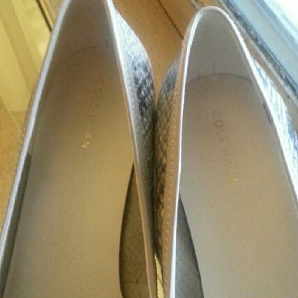 Shoes - Picture 5 of 7
